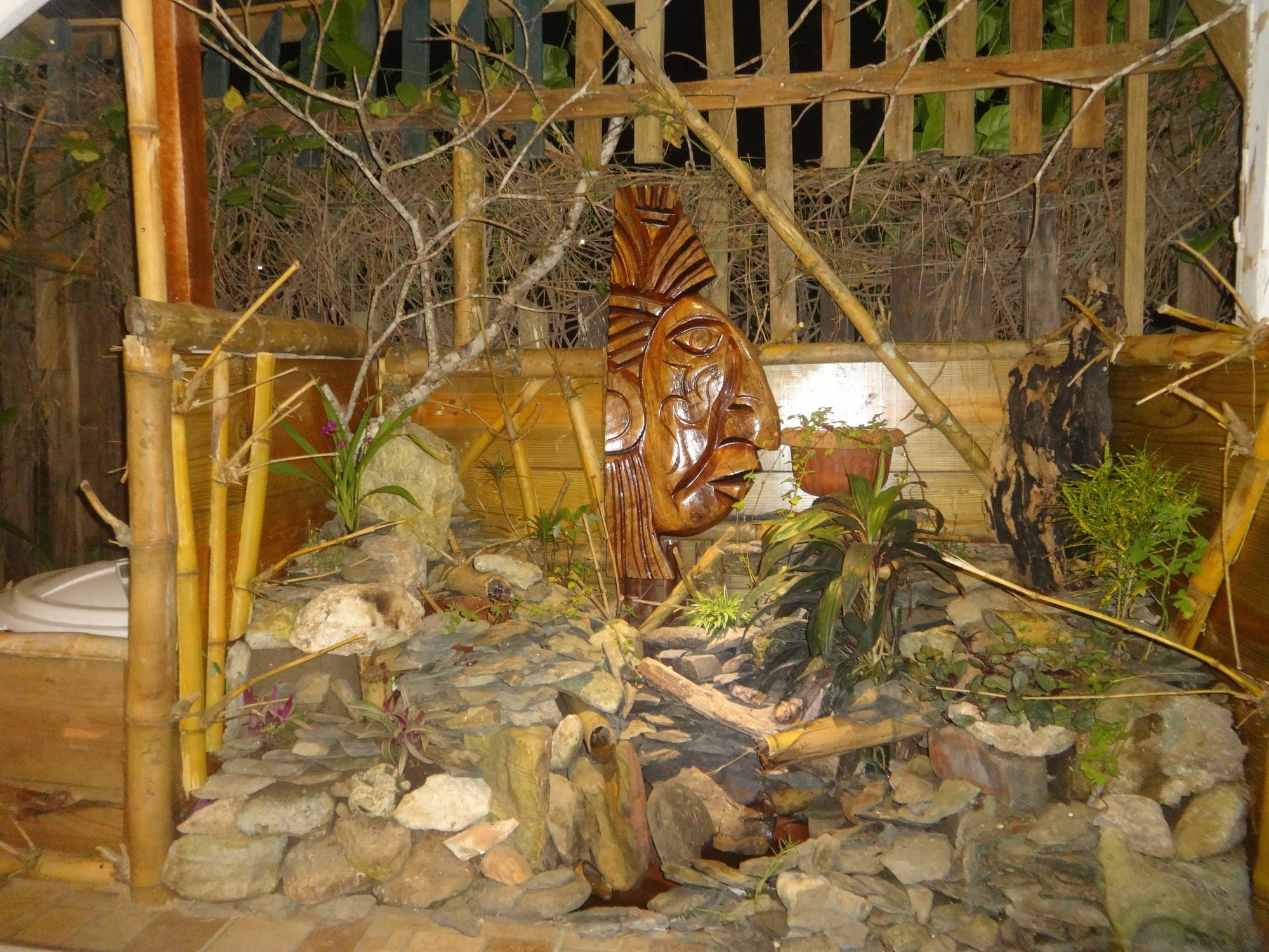 Cocopele Inn San Ignacio Exterior foto